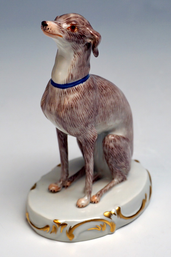 Italienisches Windspiel Züchter Österreich MEISSEN マイセン FIGUR HUND