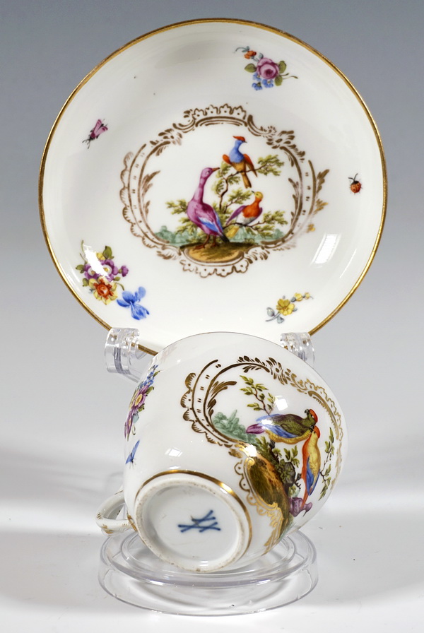 Meissen cup and sauver bird painting and gold decoration Tasse mit Untersatz Vogelmalerei und Golddekor um 1760